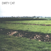 Dirty Cat - Autumn